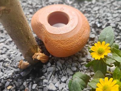 Plant Watering