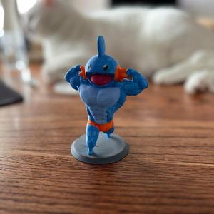 Swol Mudkip