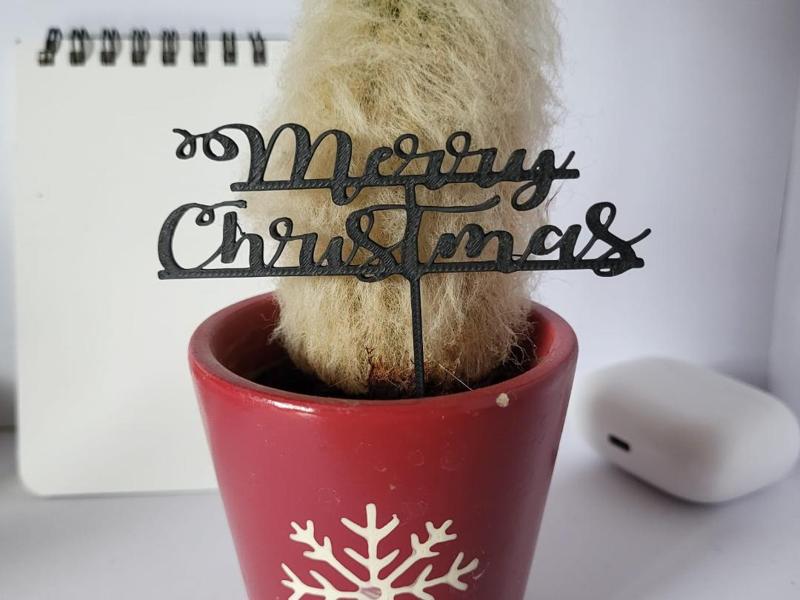 Merry Christmas Cake & Plant Topper