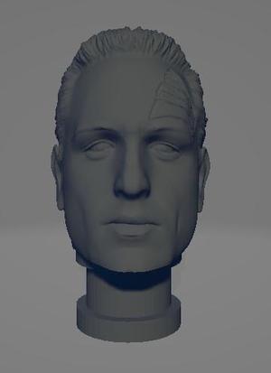 Chakotay Head for action figure