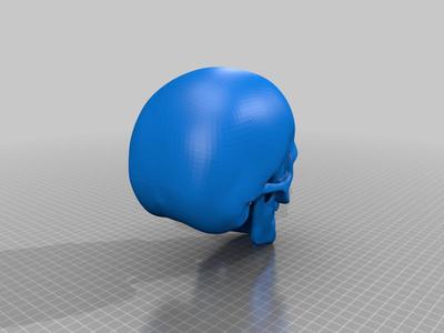 Eve Female Skull