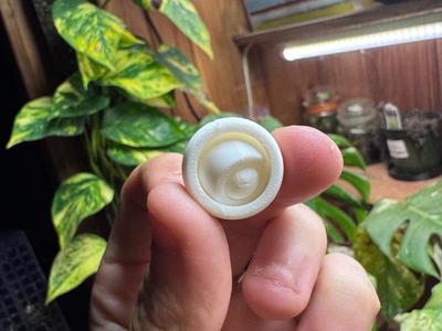 Mini Gyro Fidget Toy (<15Min 2.83g)