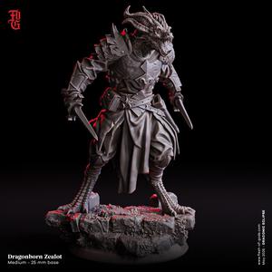 Dragonborn Zealot