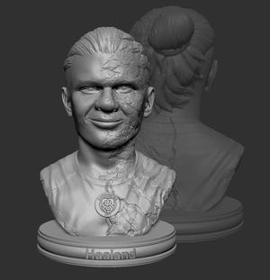 Erling Haaland _ Stone