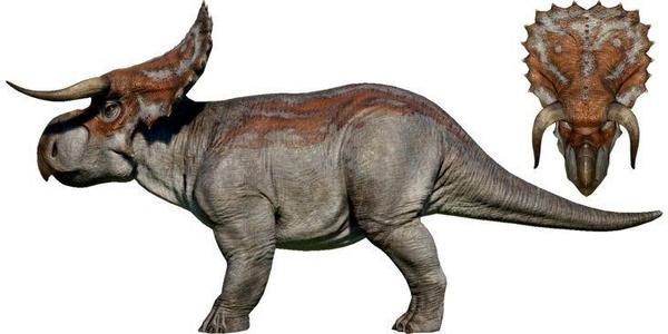 hammond collection nasutoceratops