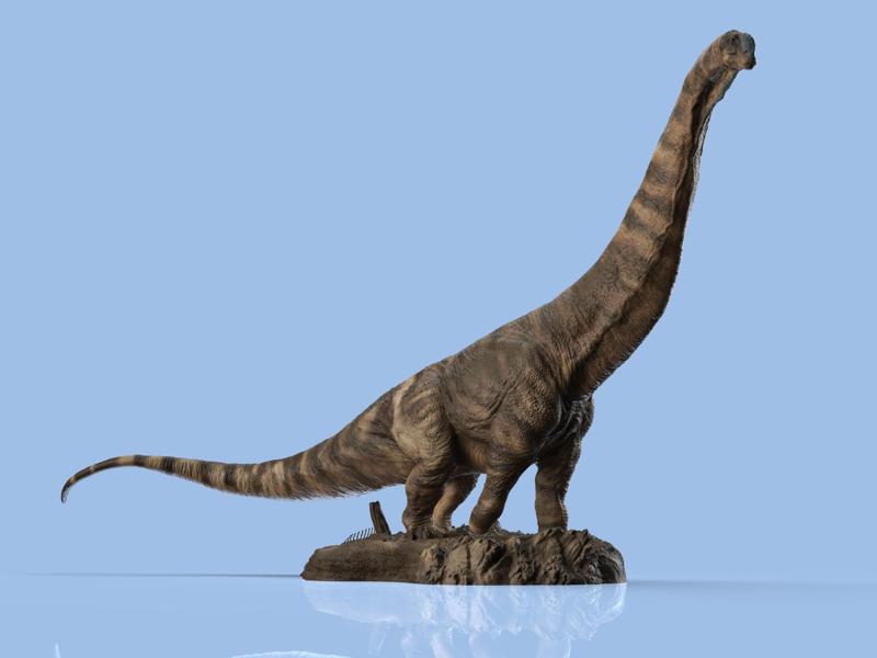 Patagotitan mayorum Dinosaurio