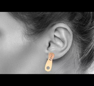 Zip Earrings 3d Print model