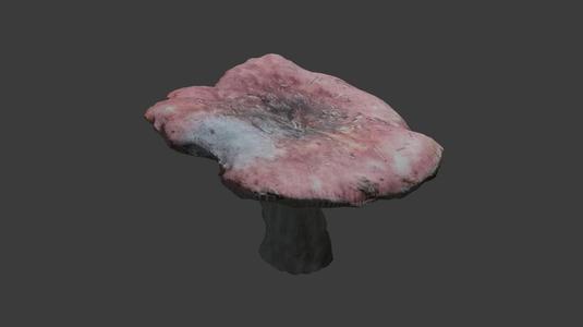 Red Mushroom Scan