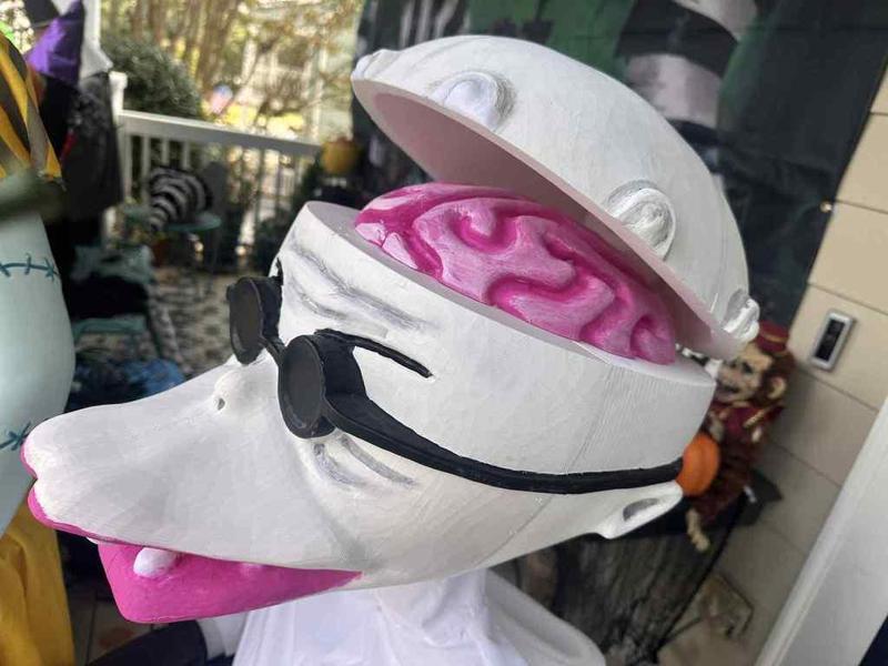 Large Scale Finkelstein Head