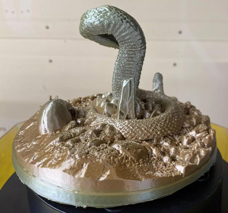 RATTLE SNAKE HOARDING GEMS WITH A PAST VICTIMS SKULL