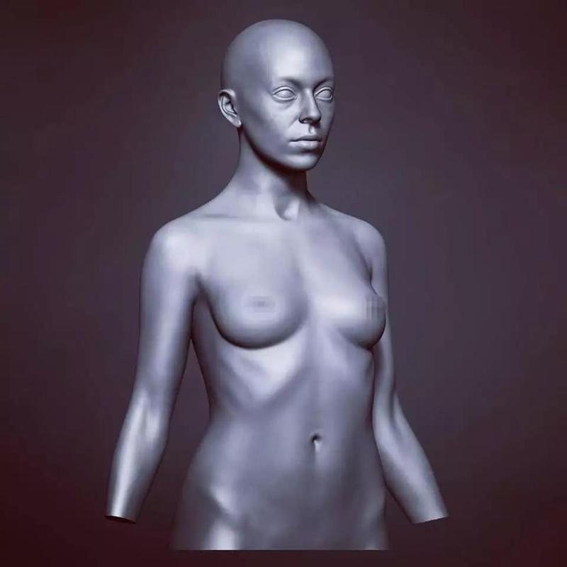 Voivodess - Female Anatomy Study