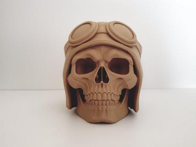 Aviator Skull with Goggles