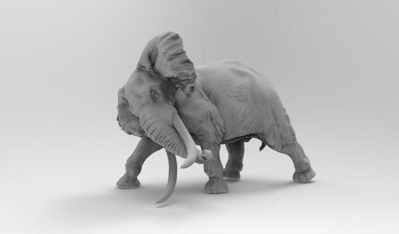 elephant