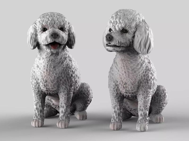 Realistic Toy Poodle