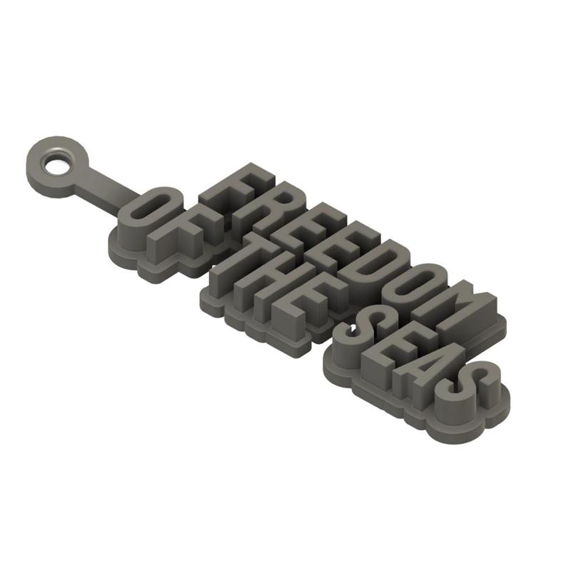 Royal Caribbean Freedom of the Seas Keychain / Keyring