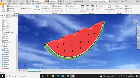 brush holder water melon slice