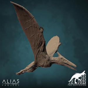 Pteranodon ‧ DnD Miniature ‧ Tabletop Miniatures ‧ Gaming Monster