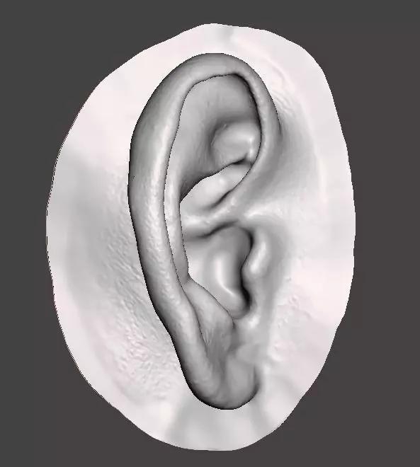 Natural human ear anatomy