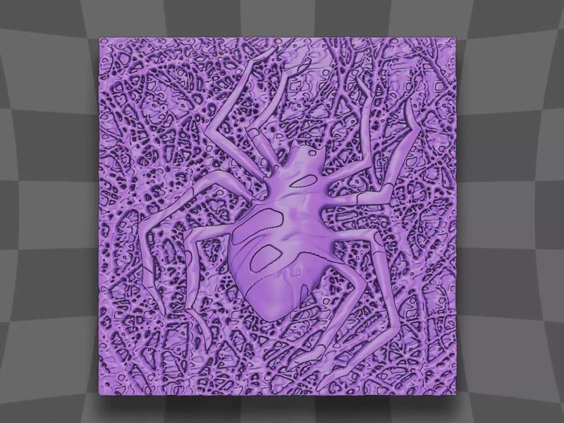 A poisonous spider for home decoration