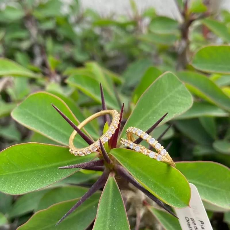 Set Piercing Helix Daith ear exclusive 9 models