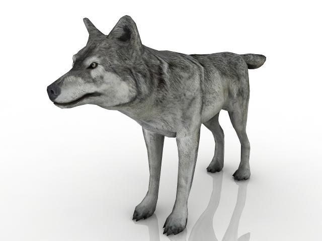 Wolf 3D Model