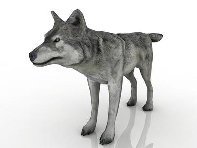 Wolf 3D Model