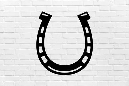 Horseshoe wall decoration