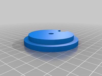 Hanger Disk for 2" Well
