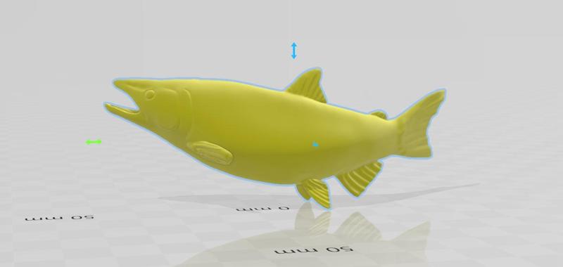 King Salmon mount for Diy no teeth