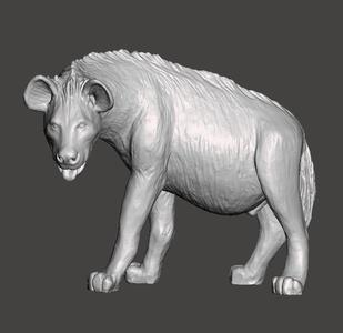 Spotted Hyena animal
