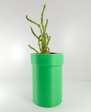 Mario cactus pots