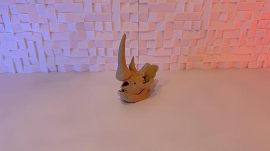 Rhino skull