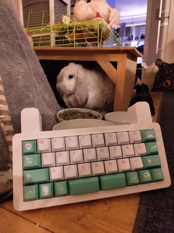 Bnuuy - a QAZ keyboard case   