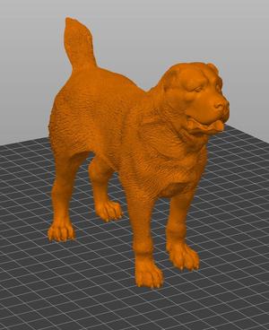 Central asian shepherd dog / Alabai / Алабай