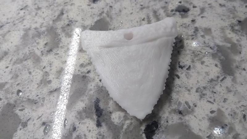 shark tooth   