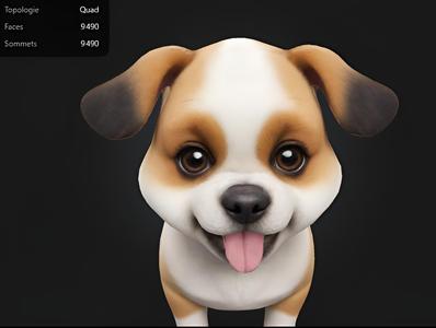Chien Mignon / Cute Dog