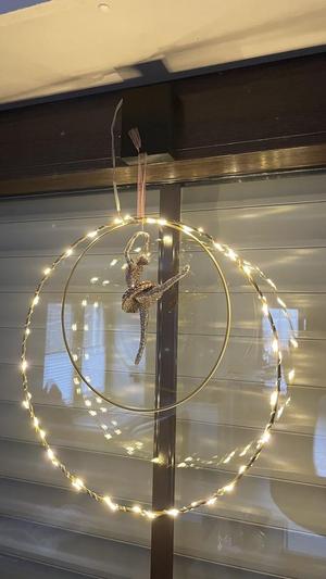 Window hook with battery compartment for LEDs