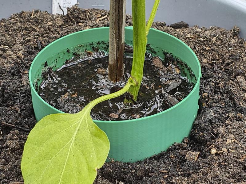 Watering Ring - Conserve Water in Your Garden