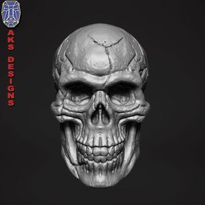 Skull version 1 Bas relief wall mount art
