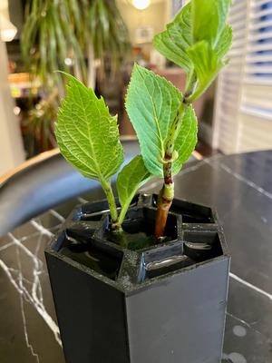 hexagonal hydroponic planter
