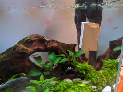 Nano aquarium magnetic cleaner