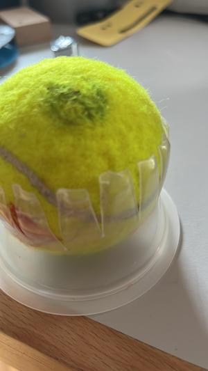 Tennisball Collector