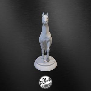 Office Perfect Horse 01-08