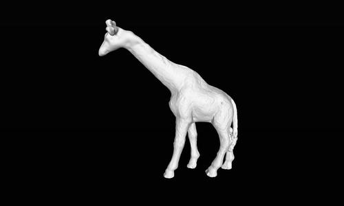 GIRAFFE (GENERATED BY REVOPOINT POP)
