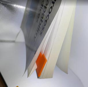 Gecko Bookmark, Slip Resistant