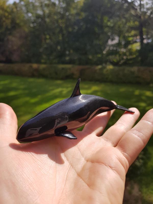 Orca