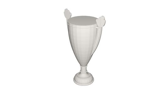 Football cup