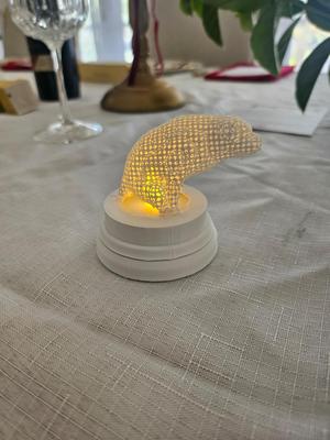 my Dog pooping battery powered candle holder