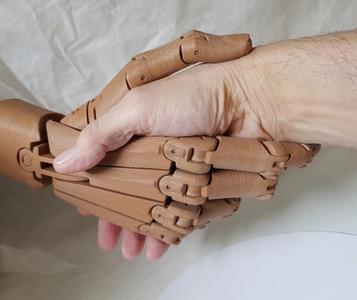 Articulated hand -