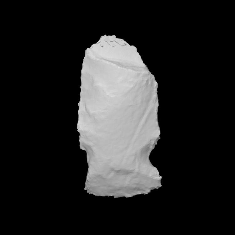 Biface - COADS_240-304